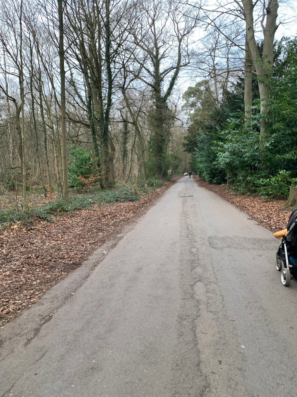 Woodhall Spa Treasure&nbsp;Trail