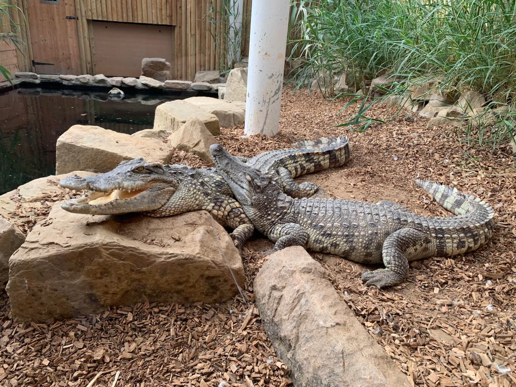 Woodside Wildlife Park