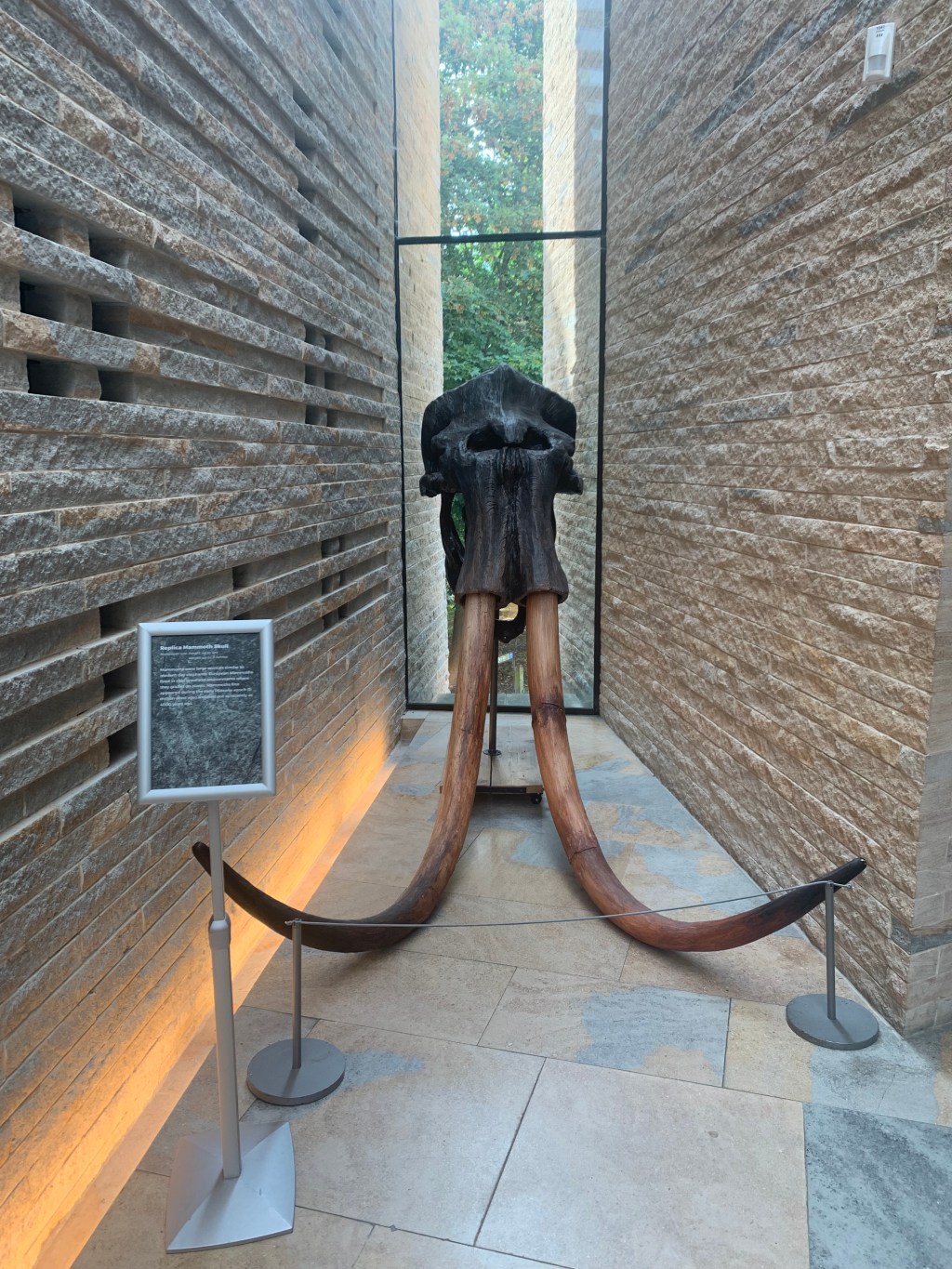 Lincoln, The Collection&nbsp;Museum