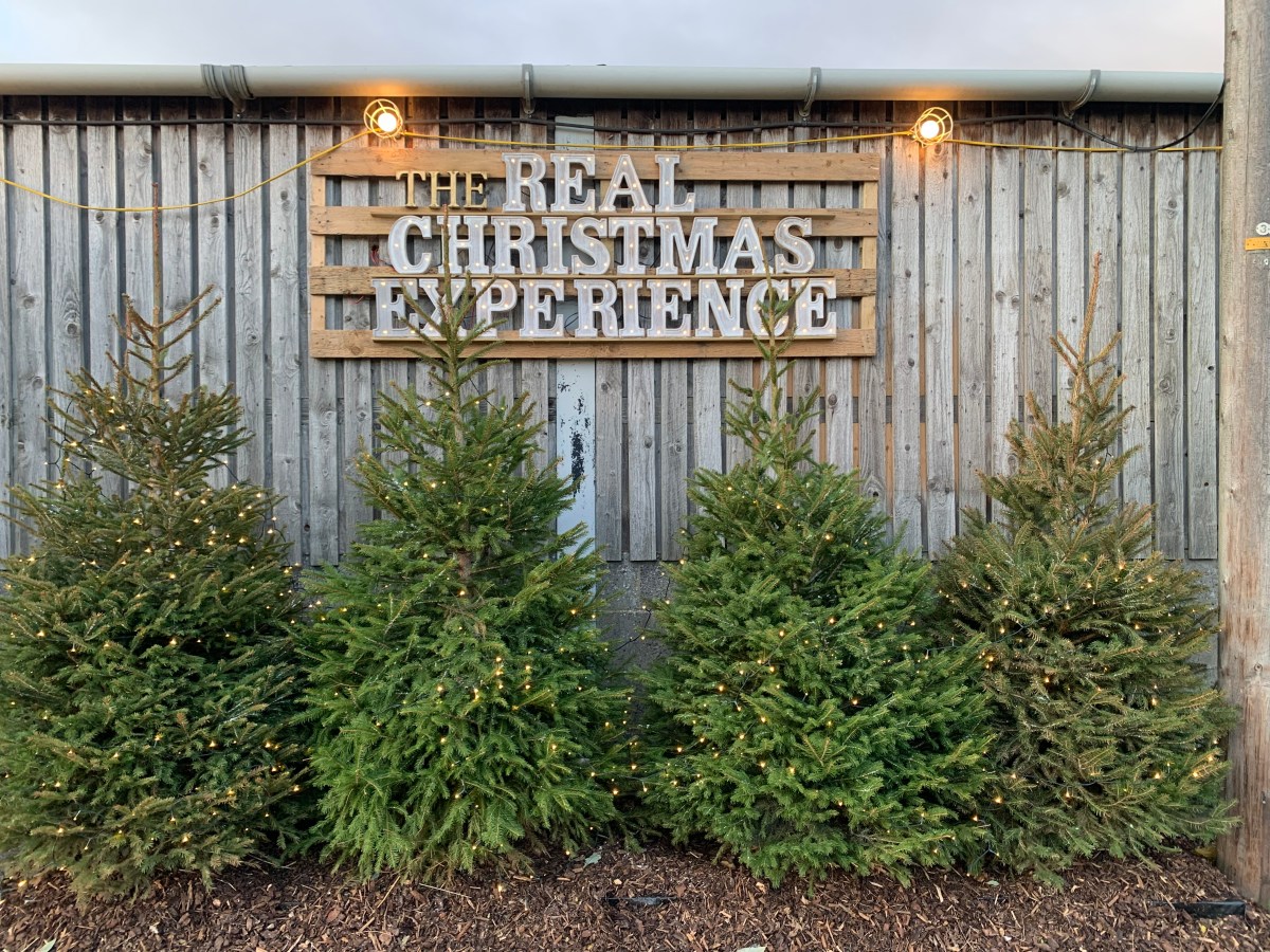 The Christmas Experience at Rand Farm&nbsp;Park